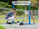 �yDOG PARK�z�A�W���e�B�ɒ���I