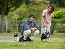 �yDOG PARK�z