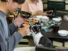 �y�[�H���i�����傤�̊ԁj�z�L�x�Ȃ�񂿂�񃁃j���[�����������������܂��B