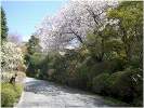 春の当館庭園