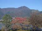 秋には、箱根の山々が紅葉に染まる様子をご覧いただけます。