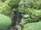 涼しさを感じさせる滝と山百合