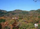 庭園を歩くと、モザイクに染まる箱根の山々を楽しめます