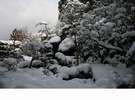 食堂から見える、雪化粧をした冬の庭園