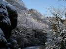 冬の庭園の雪景色