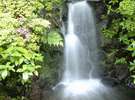 いたるところで、「水の音」が聞こえてきます