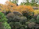 秋に彩られた庭園
