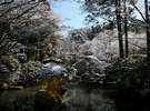 雪景色の庭園