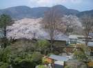 眼下に一望する桜の時期の別邸「奥の樹々」