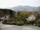 春の庭園(桜模様)