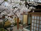 満開の桜を楽しめる露天風呂付客室