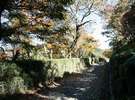 色取り取りに彩られた散策路