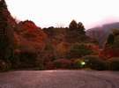 夕映えの秋の庭園