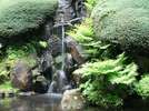涼しさを彩る庭園の滝
