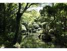 季節ごとの顔を見せる15000坪の庭園
