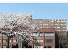 上越教育大学