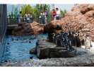 マゼランペンギン飼育数世界一。新上越市立水族館「うみがたり」(当ホテルからお車で7分)