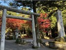 紅葉がきれいな春日山神社