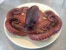 ゆでだこ(単品注文可能) 日間賀島名物!噛むほどに甘み溢れる逸品