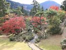 2023年紅葉の様子