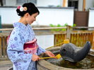 【玉造温泉街】美肌の湯は専用ボトルでお持ち帰り出来ます