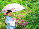 【回遊式庭園】お風呂上りに庭園散策。浴衣でゆったり夕涼み