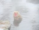 nJ쉎̂
