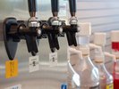 オールインクルーシブの宿!おつまみやドリンクが無料で楽しめる!