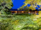 ☆東福寺ライトアップ☆04