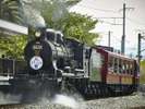 ◇鉄道博物館◇-SLスチーム号-