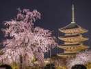 ◇東寺◇春の夜間特別拝観