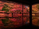 ◇瑠璃光院◇