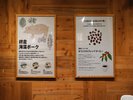 Cafe��Meal MUJI �z�e�����g���|���^�����q