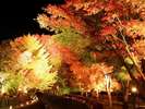 河口湖紅葉回廊(車で約30分)