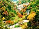 甲州いろは坂(車で約50分)