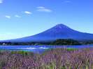 お車で約30分で行ける世界文化遺産「富士山」