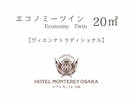 【ヴィエンナ トラディショナル】エコノミーツイン 20平米
