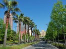 USJ 車で約40分 電車で約30分