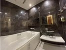 ���T�E�i�t���q���̗���