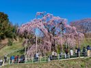 �u�O�t����v�́A����1,000�N���A���{�O����ɐ������鍑�̓V�R�L�O���ł��鋐��x�j�V�_���U�N���ł��B