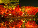 【盛岡市中央公民館】池に映る紅葉が見どころです。