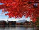 【高松の池】紅葉と共に岩手山が望めます。