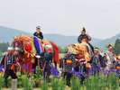 【チャグチャグ馬コ】200年以上続く盛岡の伝統行事です。