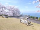 【蒲郡市】西浦温泉 桜まつり