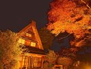 【新城市】鳳来寺山もみじまつり