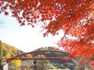 【豊田市】王滝渓谷もみじまつり