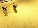 屋内ドッグラン天候や気候に左右されず遊べます。