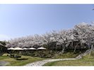 3月下旬〜4月上旬頃のガーデンビュー