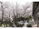 3月下旬〜4月上旬頃のガーデンビュー