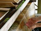 越後一宮 彌彦神社|手水舎|清らかな水で心身を清めてからご参拝